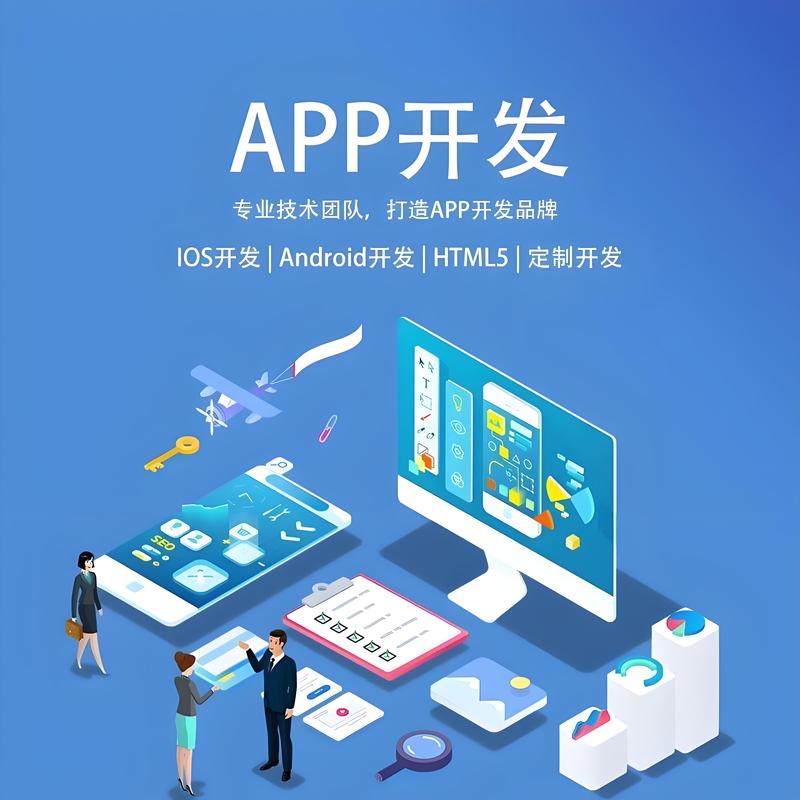 软件定制开发：打造企业精准引擎